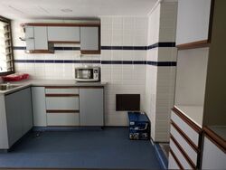 Jalan Kemaman (D12), Condominium #543367601